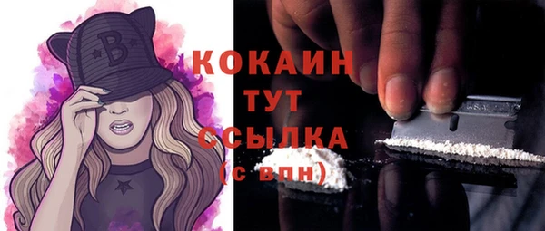 шишки Балахна