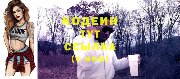 шишки Балахна