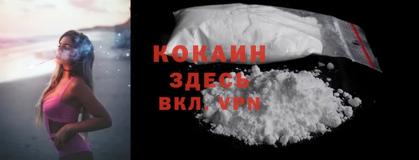 шишки Балахна