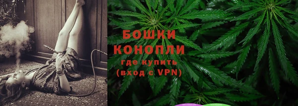 спайс Баксан