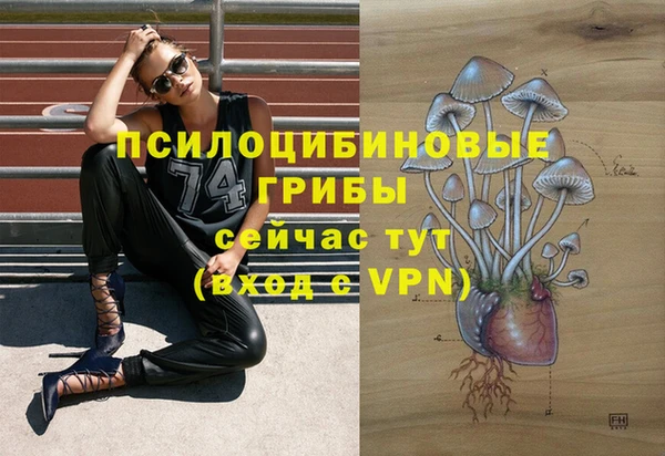 шишки Балахна