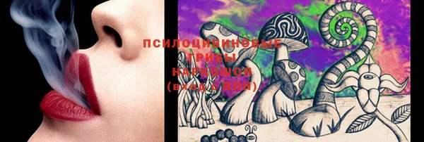 шишки Балахна