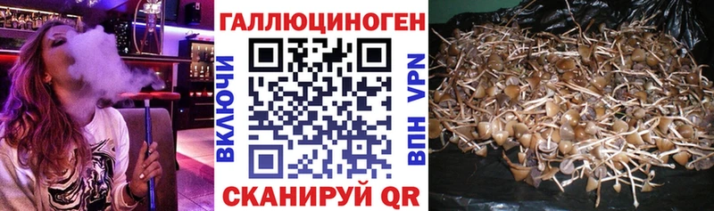 Галлюциногенные грибы Magic Shrooms Ейск